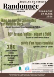 photo Randonnées pédestre