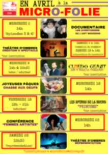 Micro-Folie : Théâtre d'Ombres ( création et spectacle)