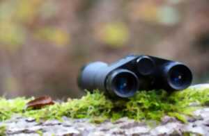 photo Sortie nature : sur les traces d'un animal bicolore