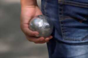 photo Concours de pétanque