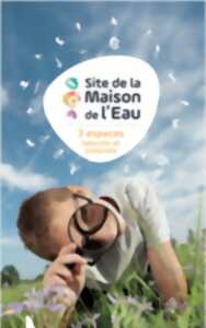photo Cultivez vos samedis Le miel et les abeilles