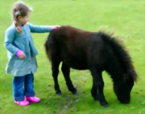 photo Balade de Pâques au ranch de Chadenac
