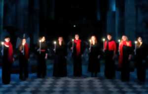 photo Concert d'orgue - Église de la cité