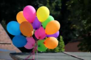 photo Fête du Fleix !