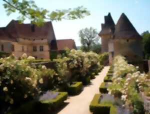 photo Châteaux en fête - Spectacle de chevaliers