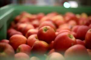 photo Pressage de fruits
