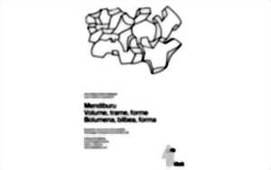 photo Exposition : Mendiburu Volume, Trame, Forme