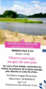 photo Fleuve sauvage, au gré de nos pas