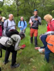 ÉCHO'RANDO NATURALISTE