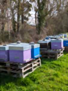 photo ÉCHO'RANDO - BALADE DES ABEILLES