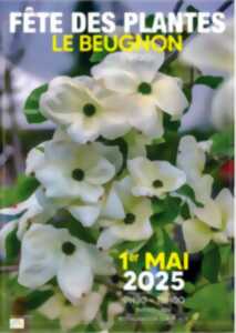 photo 6ème fête des plantes 