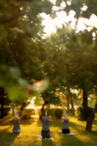 photo Yoga au jardin Les pieds dans l'herbe