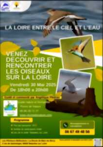 photo Balade nature guidée 