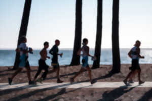 photo Swimrun du lac et des pins