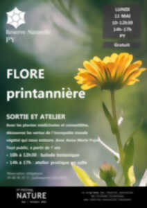 photo FLORE PRINTANNIÈRE