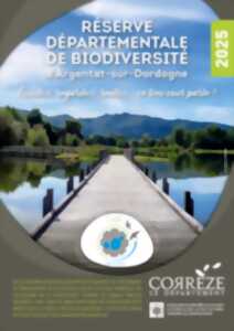 photo Initiation aux chants d'oiseaux