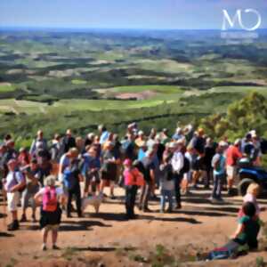 photo LA GRANDE BALADE VIGNERONNE DES CRUS FAUGÈRES - MAS OLIVIER