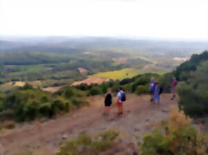 photo BALADE VINS & SAVEURS - PIC SAINT-LOUP