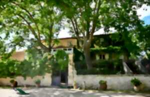photo BALADE ET DÉJEUNER