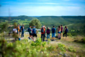 photo BALADE VINS & SAVEURS - PUECH DES MOURGUES