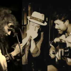 photo Eaux-Bonnes Vibrations - Concert Woknote