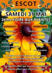photo Foire aux plantes