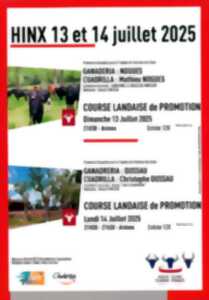 photo Course Landaise