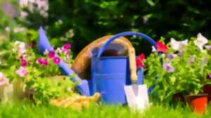 photo Les Floralies