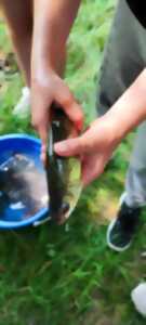 Atelier pêche à la friture