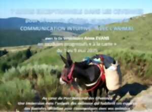 photo LA COMMUNICATION INTUITIVE® NIVEAU INTERMÉDIAIRE : PRÉPARATION À LA RANDONNÉE AVEC LES ÂNES