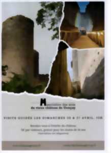 Visite guidée du vieux château