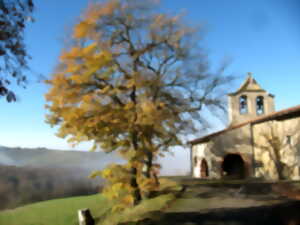 photo MUSIQUE ARAELLE CELTIC ESSENCE