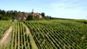 photo ALSACE ROCKS ! La Tournée des Terroirs - Etape #1