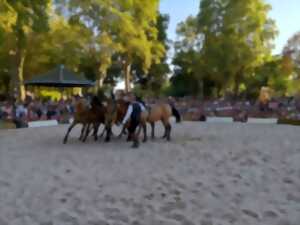 photo Spectacle en centre-ville: Supercho-Supershow