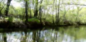 photo EXPÉ NATURALISTE : RIVIÈRE ET ESPÈCES REMARQUABLES