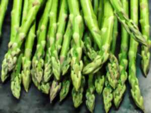 photo FÊTE DE L'ASPERGE