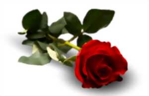 photo JEUX DE SOCIÉTÉ