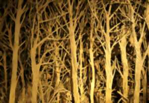 photo Apéro Art et Histoire Balade à travers bois, quand l'art montre la forêt Micro Folie