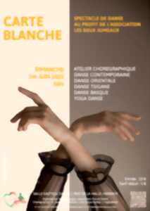 photo Spectacle de danse - Carte Blanche