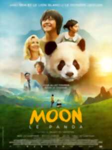 photo Cinéma Arudy : l'Amiral - Moon le panda