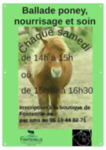 photo Balade poney, nourrissage et soin