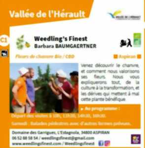 photo DE FERME EN FERME : WEEDLING'S FINEST