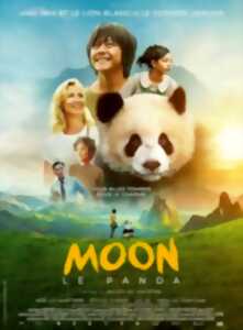 photo Cinéma Laruns : Moon le panda
