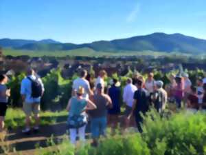 photo Apéro gourmand au domaine Tappe
