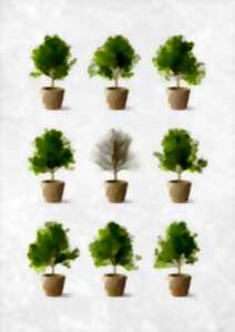 photo Foire Aux Plants