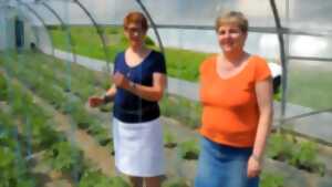 photo Belval en Fleurs – ventes de plants légumes et Fleurs !