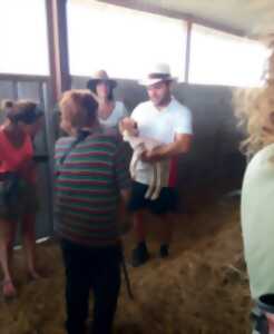 photo ACCUEIL À LA FERME: Ferme ovine et bovine et Cognac et vin en Pays de Saint-Aulaye