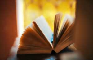 photo Salon du livre