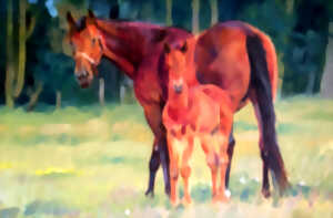 photo Exposition | Philippe BOUVET - Peinture