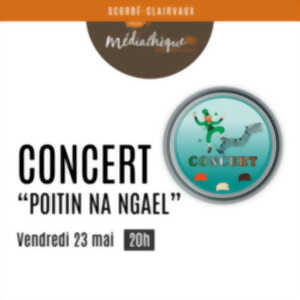 photo Concert de musique irlandaise